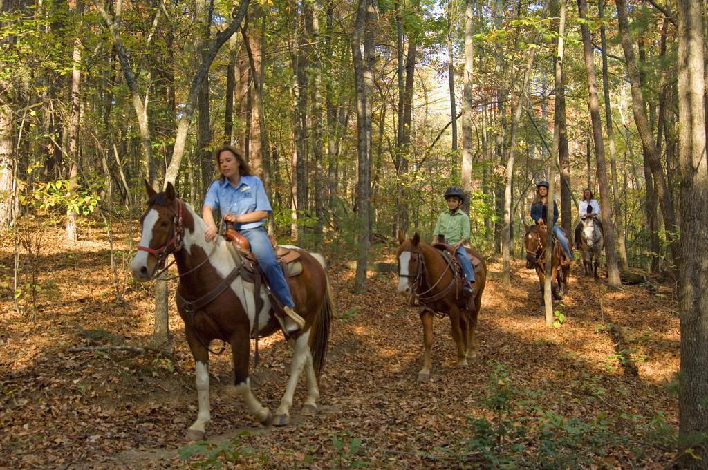 Brasstown Valley Resort & Spa Young Harris Екстер'єр фото