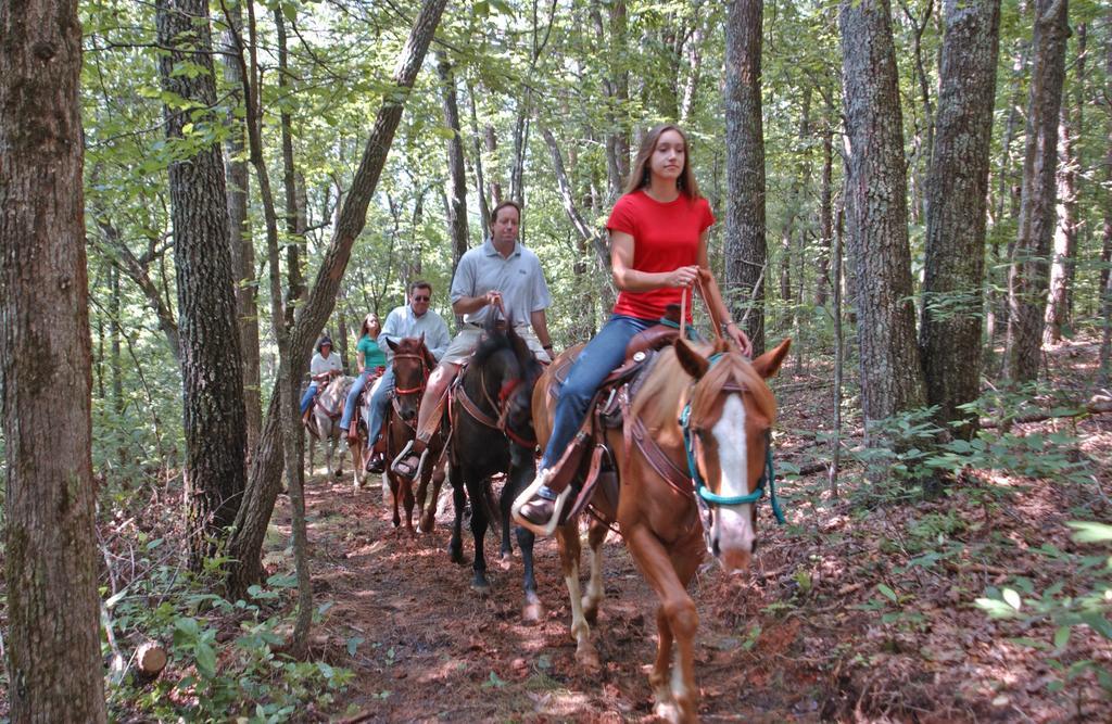 Brasstown Valley Resort & Spa Young Harris Екстер'єр фото