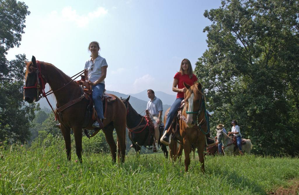 Brasstown Valley Resort & Spa Young Harris Екстер'єр фото